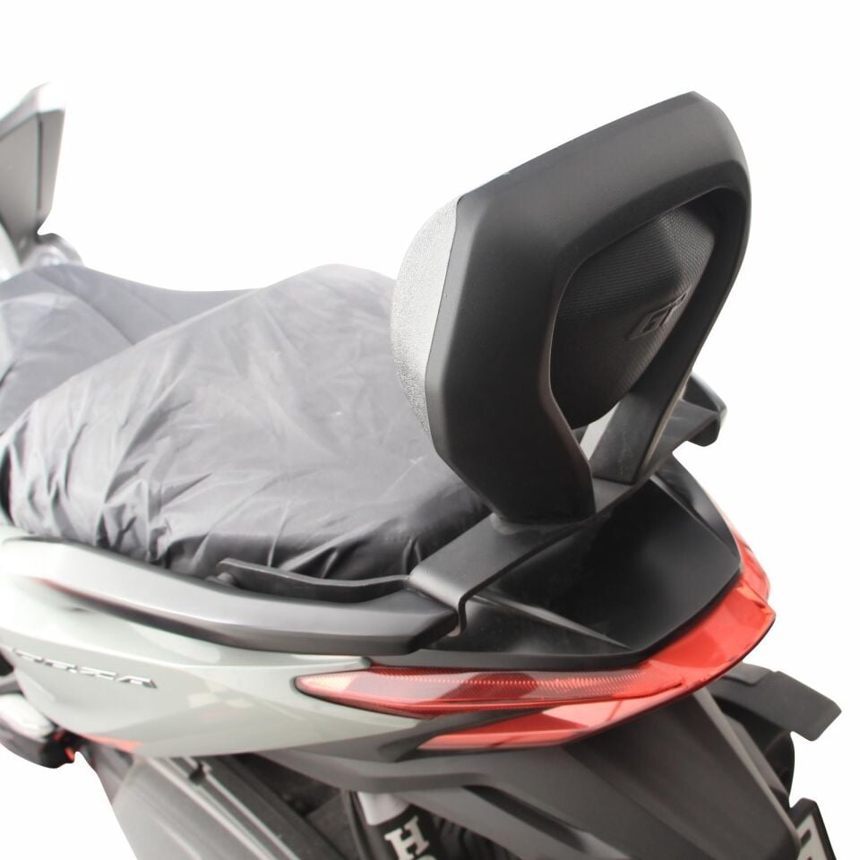 GP Kompozit Honda Forza 250 2023-2025 Uyumlu Sissy Bar Siyah
